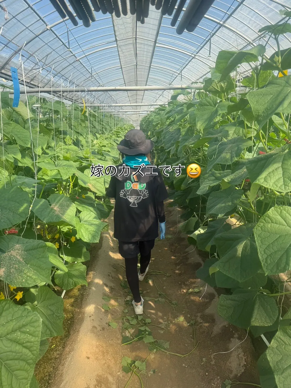 本日初収穫でした🥒