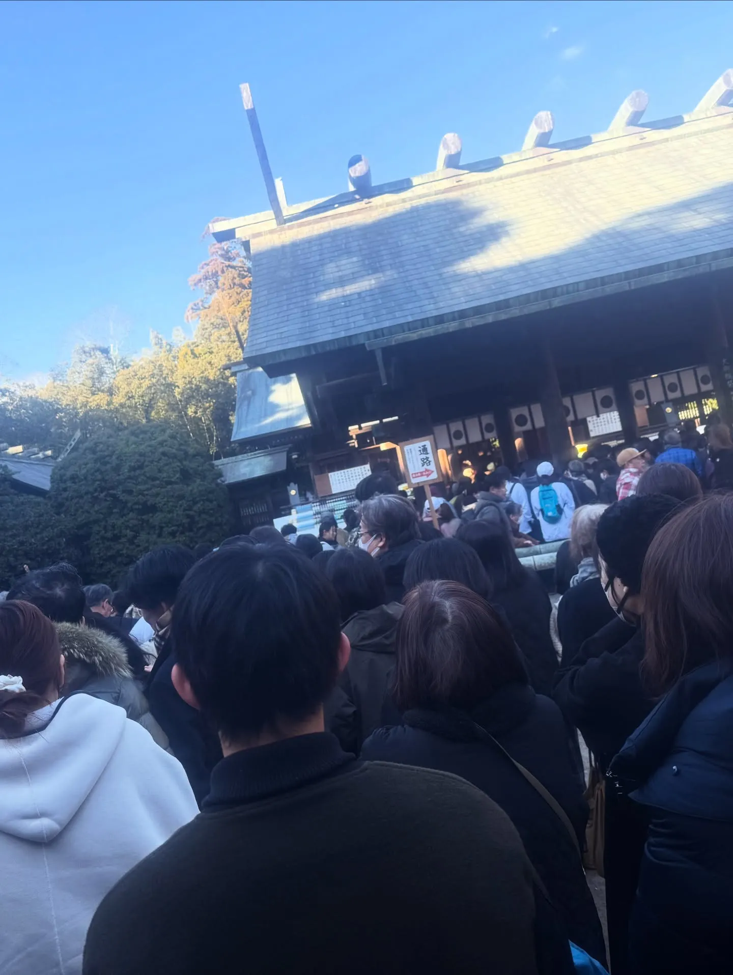 2026年 明けましておめでとうございます┏○ﾍﾟｺｯ