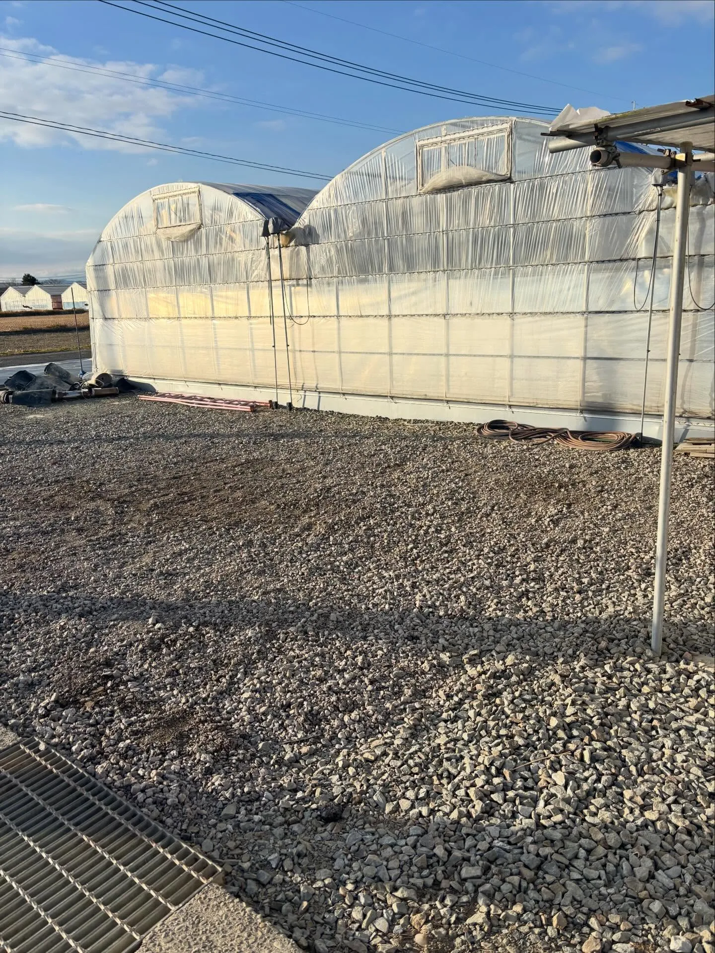 ハウス周りも綺麗に✨