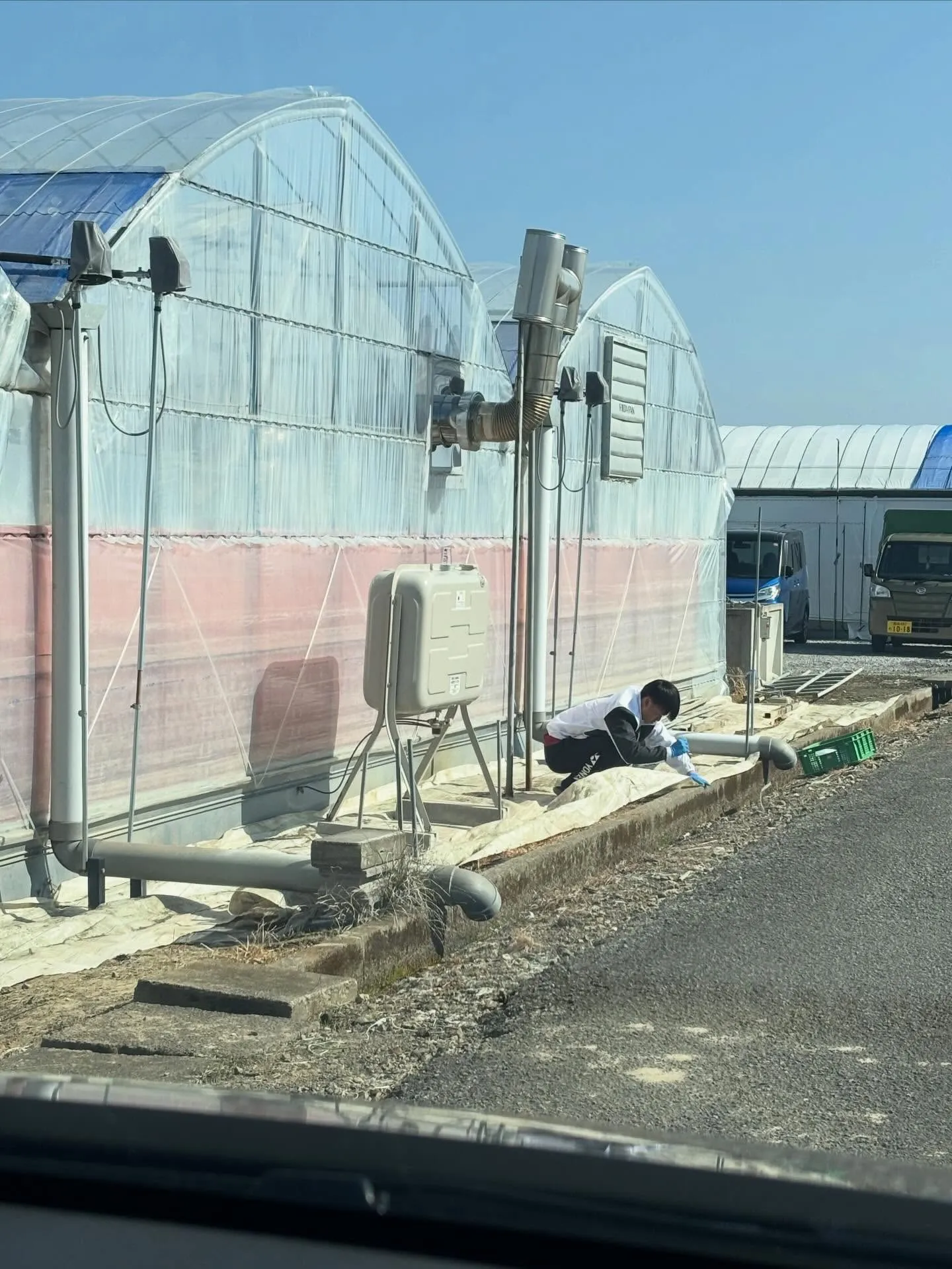 ハウス周りも綺麗に✨